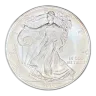 1 oz American Silver Eagle Silver Coin