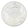1 oz American Silver Eagle Silver Coin