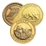 1/4 oz Wildlife Gold Coin
