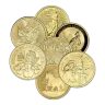 1 oz Gold Coin