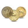 1/2 oz Random Gold Coin