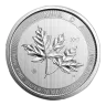 2017 10 Oz Canadian Silver 'Magnificent' Maple Leaf Coin