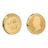 1/4 oz Kiwi - Gold round 2025