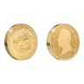1/4 oz Kiwi - Gold round 2025