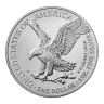 1 oz American Silver Eagle Silver Coin