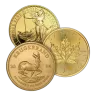 1 oz Government Gold