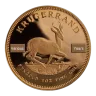 1oz Gold Krugerrand | South African Mint