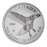 Red-Tailed Hawk 1oz Silver Coin (2015)