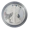 1 oz American Eagle Silver Coin