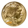 1 oz American Buffalo Gold Coin