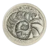 1 oz Silver Coin