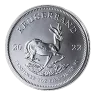 1 oz South African Mint Krugerrand Silver Coin