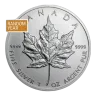 1 oz Canadian Silver Maple Leaf Coin (Random Year)
