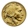 1 oz American Buffalo Gold Coin
