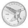 Birds of Prey Series - Silver Red-Tailed Hawk