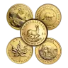 1/4 oz Gold Coin / Round (Varied Condition - Mint of Our Choice)