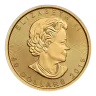 1 oz Maple Leaf Gold Coin