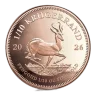 1/10 Oz Gold South African Krugerrand (2026)