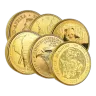 1 Oz Gold Coin (Assorted Selection) Best Value