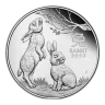1/2oz Silver Perth Mint Year of the Rabbit (2023)