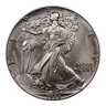 1988 American Silver Eagle Coin