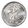 1991 American Silver Eagle Coin