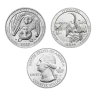 Silver 5 oz America The Beautiful Coin - Random Year | Our Choice