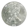 Silver 1 oz American Eagle Blemished - Random Year