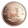 1/4 Oz Gold South African Krugerrand (2026)
