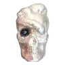 SLM 100 Gram Silver Skull and Snake
