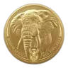 South African 1oz 2022 Gold Elephant