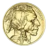 1 oz American Buffalo Gold Coin