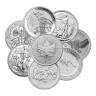 1 oz Silver Round (Varied Mint)