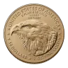 2026 1 oz American Gold Eagle Coin (BU)