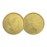 1 oz Maple Leaf Gold Coin