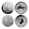 10 oz Kookaburra Silver Coin