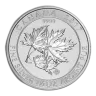 Canadian 1.5 oz SuperLeaf Silver Coin (Year Varies)