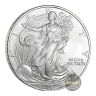 2007 1 oz American Silver Eagle Coin