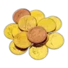 1/10 oz Gold Coin