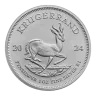 2024 South African Krugerrand Silver Coin - 1oz