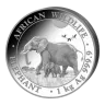 Somalian Silver Elephant, 1 Kilo - 2022