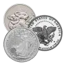 1/10 oz Platinum Coin - Design Our Choice