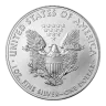 2013 1 oz American Silver Eagle Bullion Coin