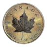 1 oz Canadian Silver Maple Leaf (Toned)