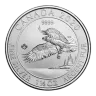 2020 1.5 Oz Canadian North American Bald Eagle Silver Coin
