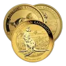 1 oz Nugget Kangaroo Gold Coin (second choice)