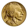 2026 1 oz American Gold Buffalo