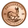 2024 Krugerrand 1 oz Gold Bullion Coin
