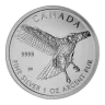 1 oz Birds of Prey Silver Coin