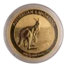 2013 1 oz Australian Gold Kangaroo Nugget Bullion Coin